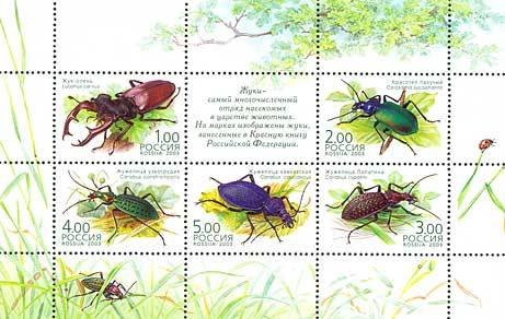 Beetles - MiNo. 1100-04