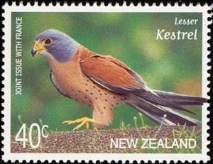 Stamp, Lesser Kestrel (Falco naumanni), New Zealand,  , Birds, Birds of Prey, Animals (Fauna), Falcons