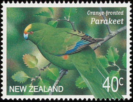 Malherbe's Parakeet (Cyanoramphus malherbi)