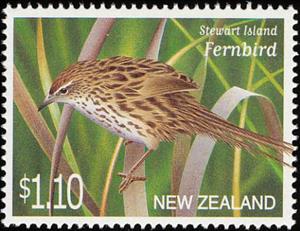 Stamp, Stewart Island Fernbird (Bowdleria punctata stewartiana), New Zealand,  , Birds