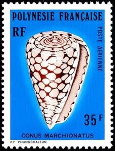 Stamp, Sea Snail (Conus marchionatus), French Polynesia,  , Shells