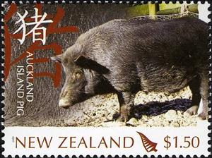 Stamp, Auckland Island Pig (Sus scrofa domestica), New Zealand,  , Animals (Fauna)