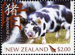 Stamp, Kunekune Sow “Ruby” (Sus scrofa domestica), New Zealand,  , Animals (Fauna)