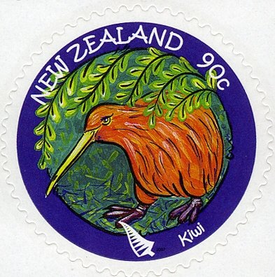 Kiwi
