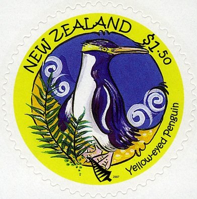 Yellow Eyed Penguin
