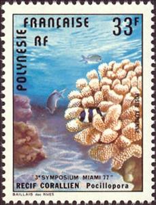Stamp, Cauliflower Coral (Pocillopora sp.), French Polynesia,  