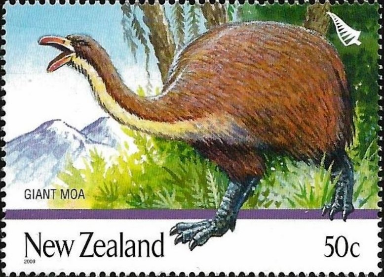 Giant Moa (Dinornis sp.)
