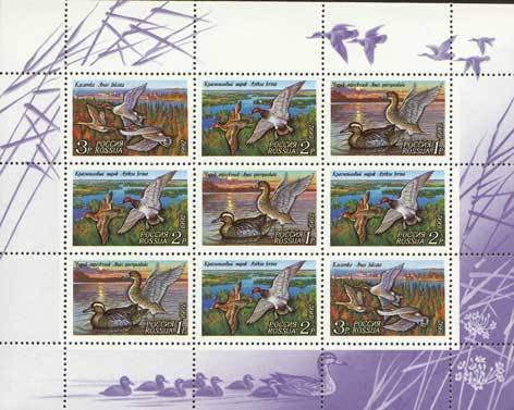 Ducks - MiNo. 254-56