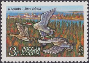 Stamp, Falcated Duck (Anas falcata), Russia,  , Birds, Ducks, Animals (Fauna)