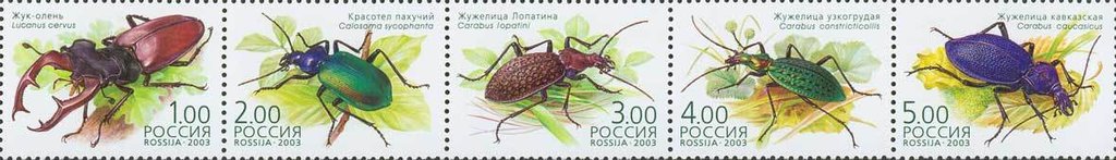 Beetles - MiNo. 100-04