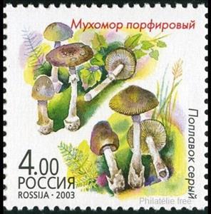 Stamp, A.porphyria & A.vaginata, Russia,  , Mushrooms
