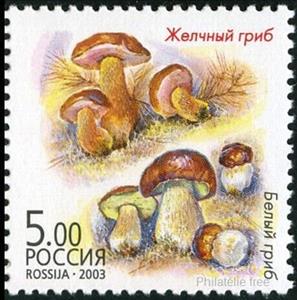Stamp, Tylopilus & cep (Boletus edulis), Russia,  , Mushrooms
