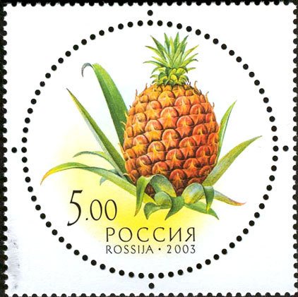 Pineapple