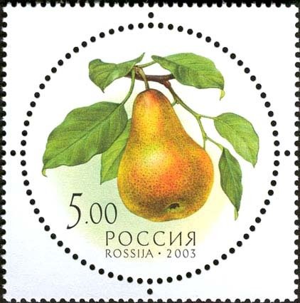 Pear