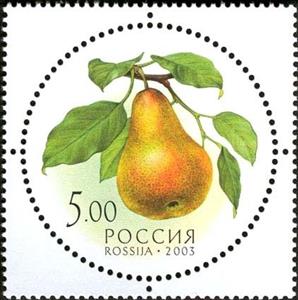 Stamp, Pear, Russia,  , Fruits, Plants (Flora), Round Stamps