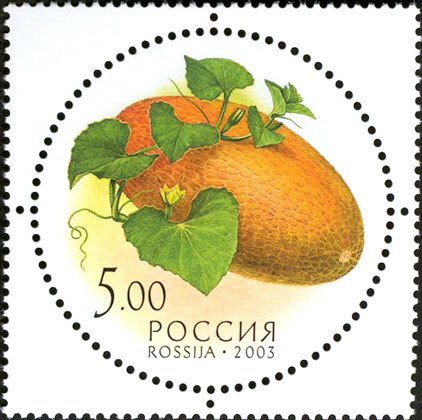 Melon