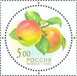Apples