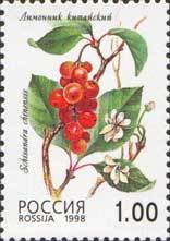 Stamp, Magnolia vine (Schisandra chinensis), Russia,  , Fruits, Plants (Flora)