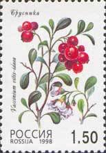 Stamp, Cowberry (Vaccinium vitis-idaea), Russia,  , Fruits, Plants (Flora)
