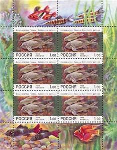 Mini Sheet, Galina Catfish (Synodontis galinae), Russia,  