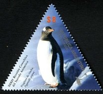 Gentoo Pinguin (Pygoscelis papua)