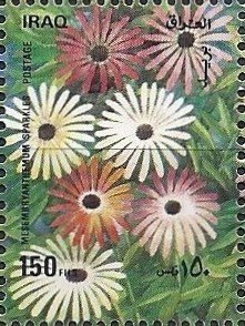 Stamp, Mesembyranthemum sparkles (without white border), Iraq,  , Flowers, Plants (Flora)