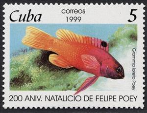 Stamp, Fairy Basslet (Gramma loreto), Cuba,  , Fishes