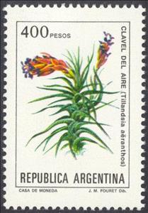 Stamp, Tillandsia aëranthos, Argentina,  , Flowers, Plants (Flora)