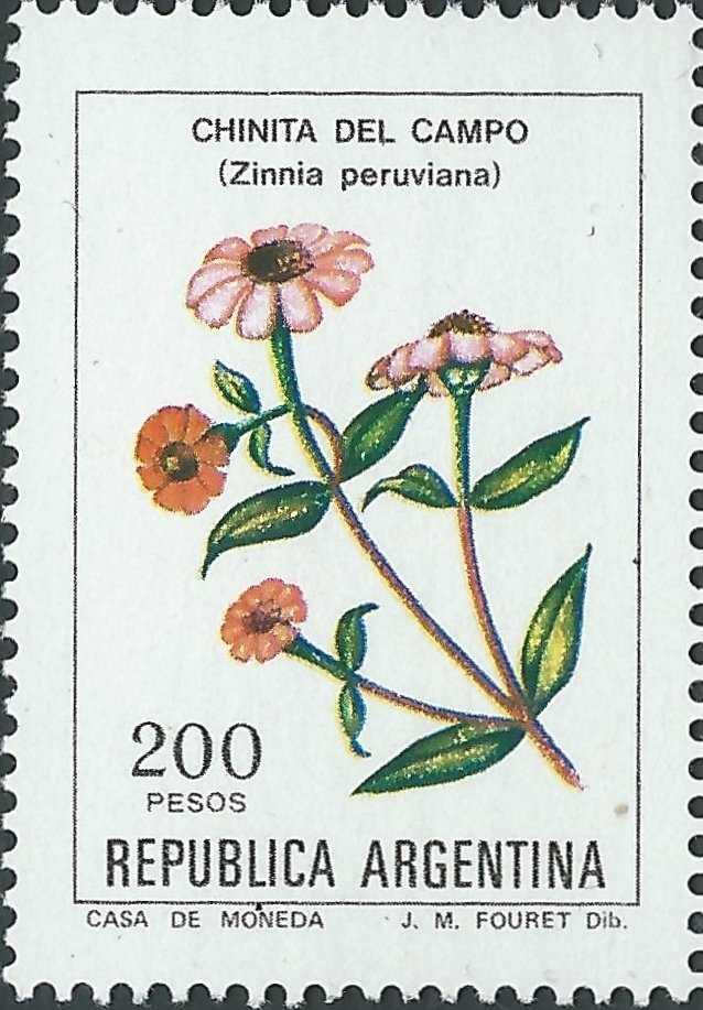 Zinnia peruviana