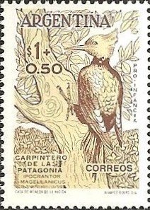 Stamp, Magellanic Woodpecker (Campephilus magellanicus) , Argentina,  , Birds, Animals (Fauna)