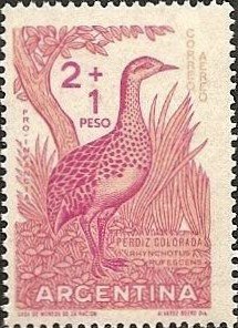 Stamp, Red-winged Tinamou (Rhynchotus rufescens), Argentina,  , Birds, Animals (Fauna)