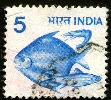 Blue Fish