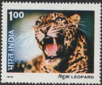 Stamp, Leopard (Panthera pardus), India,  , Mammals, Leopards, Animals (Fauna)