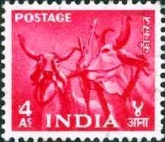 Stamp, Zebu (Bos primigenius indicus) Heads, India,  