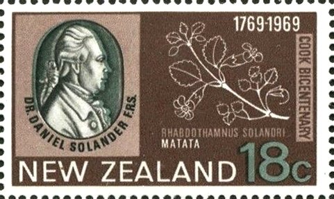 Solander