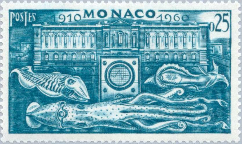 Marine Animals, Museum Building