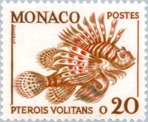 Red Lionfish (Pterois volitans)