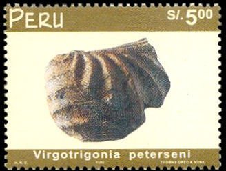 Stamp, Virgotrigonia peterseni (Fossil), Peru,  , Minerals
