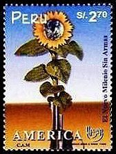 America issue
