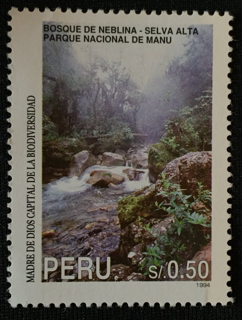 Biodiversity: Manu National Park