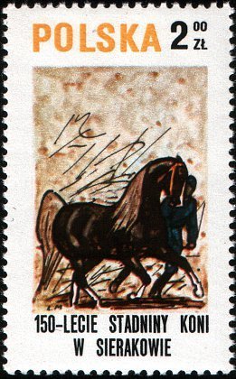 Demonstrating a horse