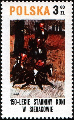 Hunt horses