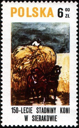Draft Horses