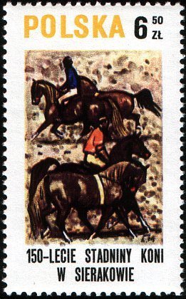 Breaking in horses