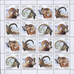 Mini Sheet, Wild Goats and Rams - MiNo. 1899-1902, Russia,  , Goats, Animals (Fauna)