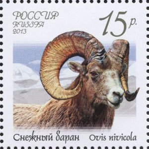 Stamp, Snow Sheep (Ovis nivicola), Russia,  , Goats, Animals (Fauna)