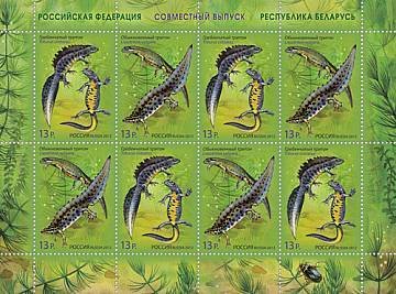 Mini Sheet, Newts - MiNo. 1831-32, Russia,  , Amphibians, Animals (Fauna), Joint Issues
