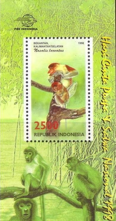 Proboscis Monkey (Nasalis larvatus)