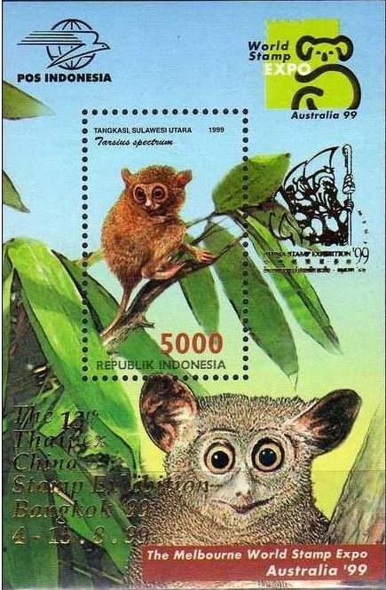 Spectral Tarsier (Tarsius spectrum)