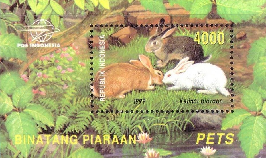 Domestic Animals